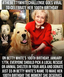Annual Betty White Challenge