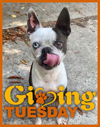 Please donate to Giving Tuesday!