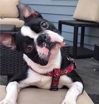 Does your Employer have a Giving Program?