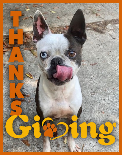Please donate to Giving Tuesday!