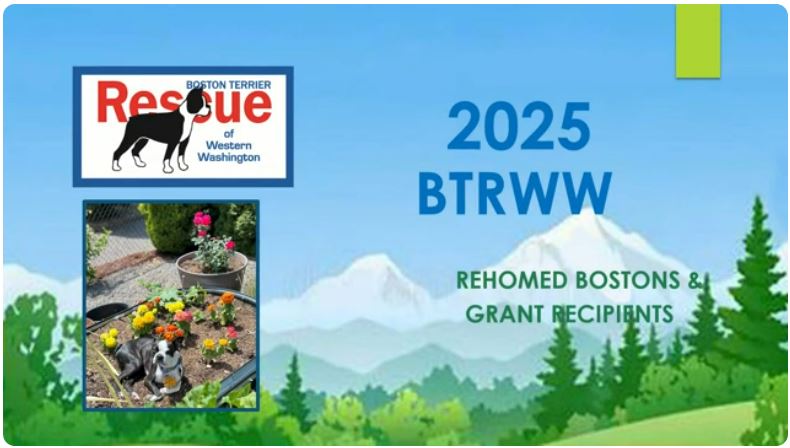 BTRWW 2022